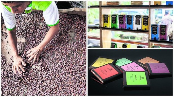 Perú: la oportunidad del cacao de origen